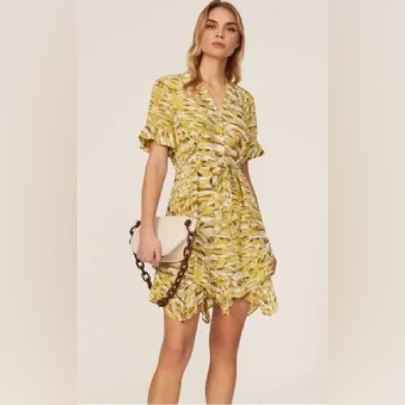 ALLSAINTS ~ Frankie Oniyuri Dress - Picture 2 of 14